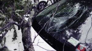 smashed windshield of car wrecked into tree