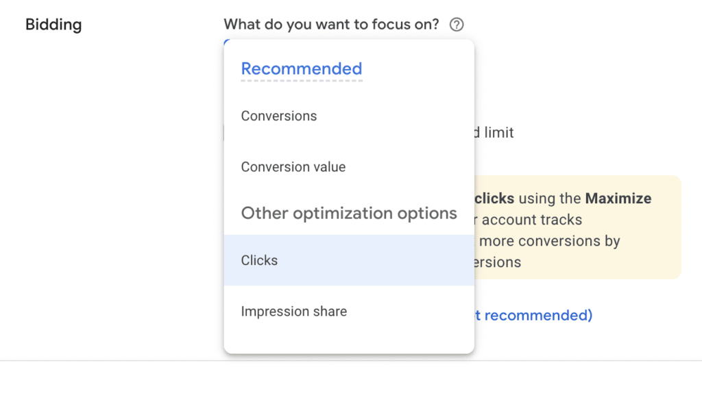 Google's options for focusing your bidding on outcomes