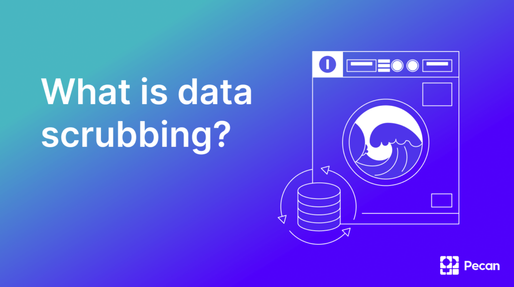 Definition of data Scrubbing